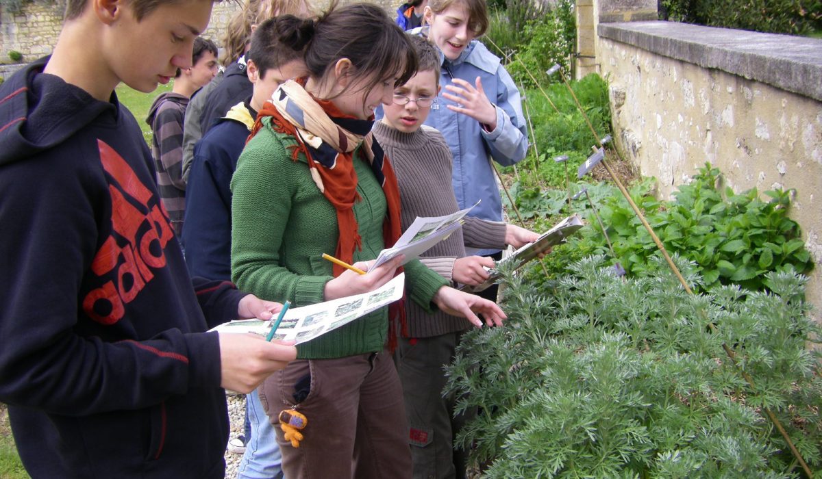 Atelier La magie des plantes
