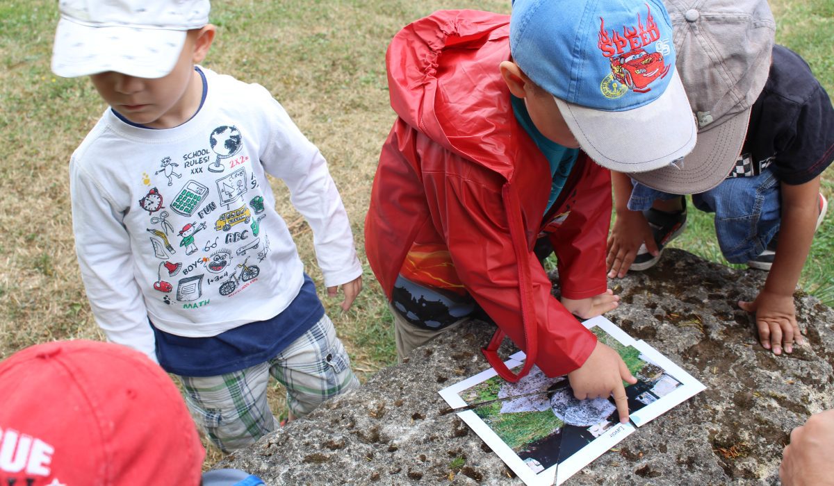 Les puzzles à reconstituer