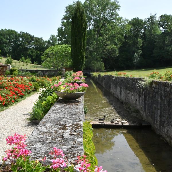 Le ruisseau de la Fontdouce