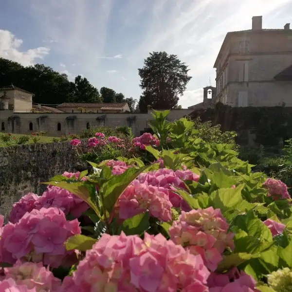 Vue depuis les jardins de l'abbaye de Fontdouce