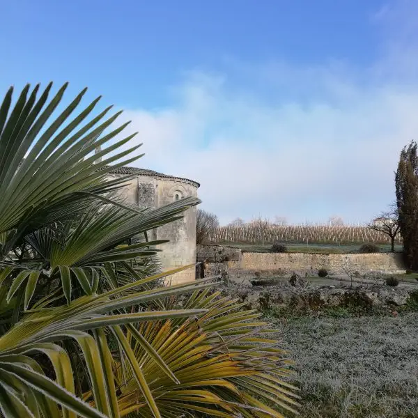 L'abbaye de fontdouce avec la rosée du matin