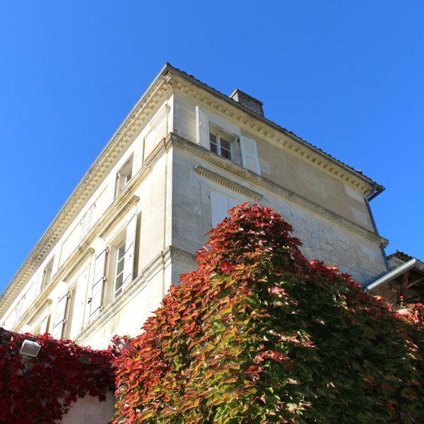 Mur et vignes vierges de l'abbaye de Fontdouce