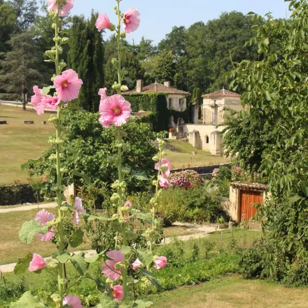Des roses trémières dans le jardin de l'abbaye de fontdouce