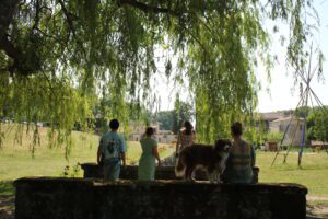 Lire la suite à propos de l’article Que faire pour ces dernières semaines de vacances en Charente-Maritime ?